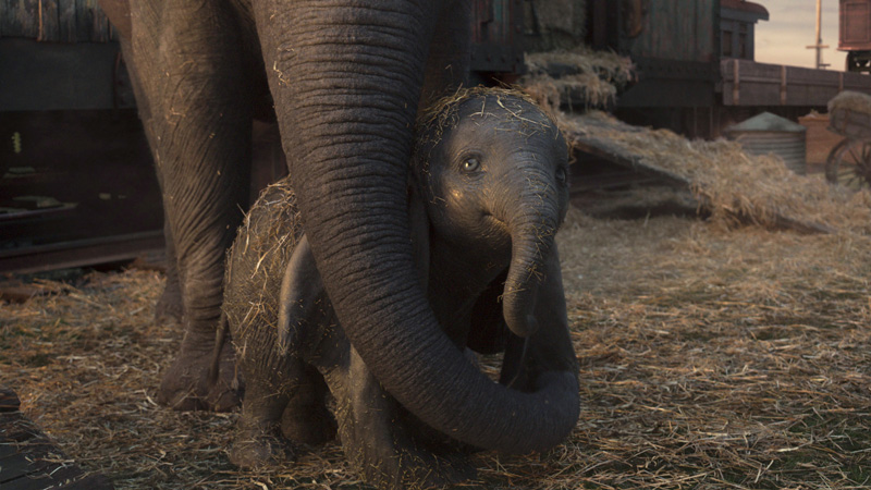 Dumbo Kritik Irgendwie nerdig