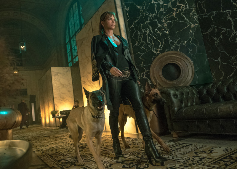 Halle Berry in John Wick 3 - Kritik