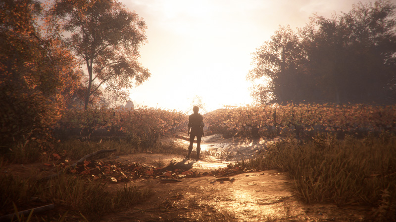 A Plague Tale Innocence Review Test irgendwie nerdig