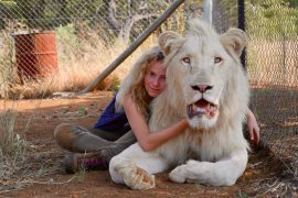 Mia und der weiße Löwe Kritik